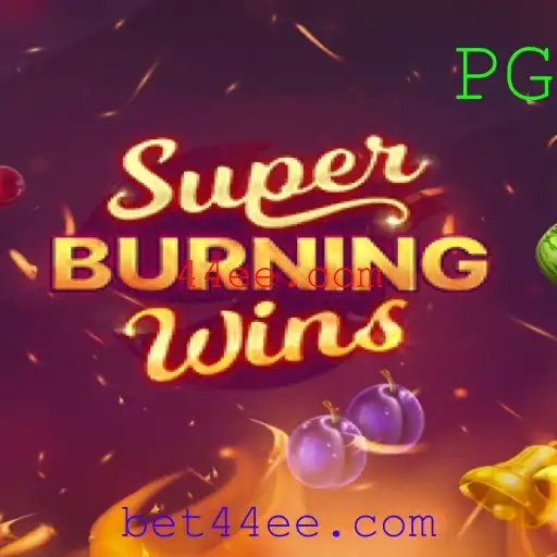 Descubra o Fascinante Mundo de SuperBurningWins: Regras e Jogos de Azar Contemporâneos